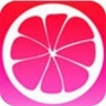 柚子视频黄软件app无限制版