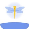 蜻蜓视频app