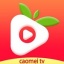 草莓视频app下载污的软件ios版