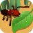 蚂蚁进化D免广告 V1.1 安卓版