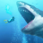 巨型鲨鱼d V1.0 安卓版