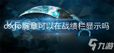 csgo胸章怎么显示 可以在战绩栏显示吗_CSGO手游