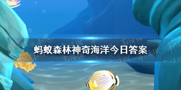 红树林是某一种树吗 神奇海洋9月19日最新答案