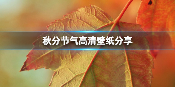 秋分节气高清壁纸分享 秋高气爽秋分时节壁纸在哪找