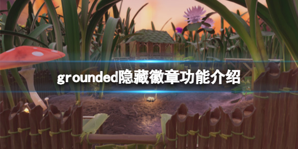 禁闭求生隐藏徽章怎么获得-grounded隐藏徽章功能介绍