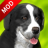 狗狗奔跑 V1.1.6 安卓版