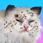 Cat MakeoVer游戏 V0.2