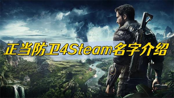 正当防卫4Steam名字介绍