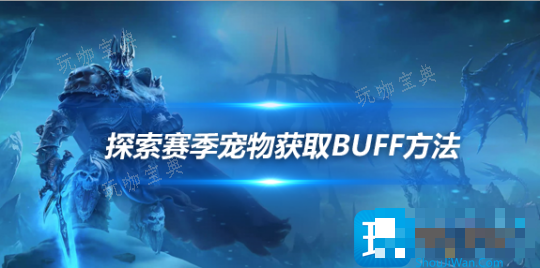 魔兽世界探索赛季猎人术士宠物卡BUFF方法-猎人术士宠物怎么卡BUFF？