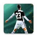 足球世界杯(Football Cup 2024) v1.24手机版