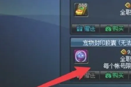 dnf宠物封印胶囊怎么用不了-dnf宠物封印胶囊用法介绍