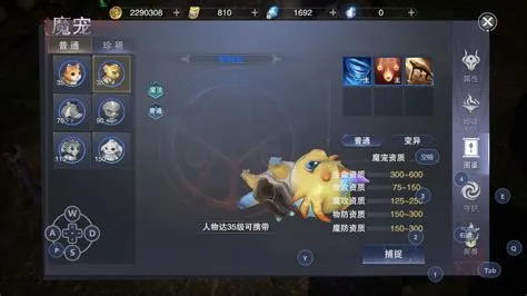 新神魔大陆血魔带什么魔宠